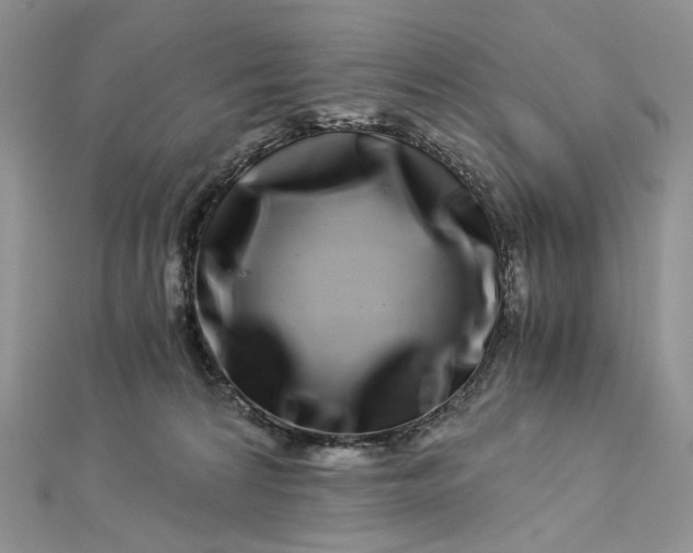 X0000112900224200909041729