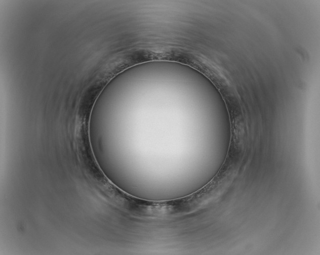 X0000112900225200909041729