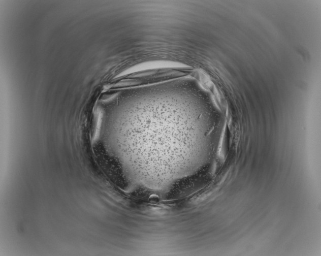 X0000112900229200909041729