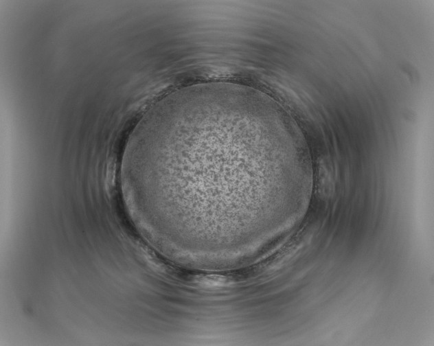 X0000112900230200909041729