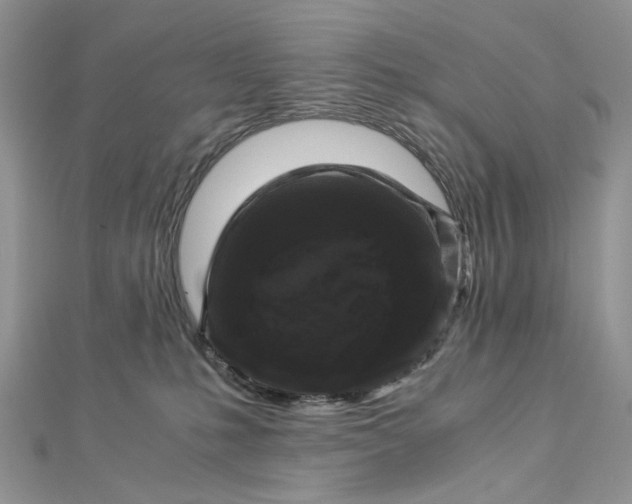 X0000112900231200909041729