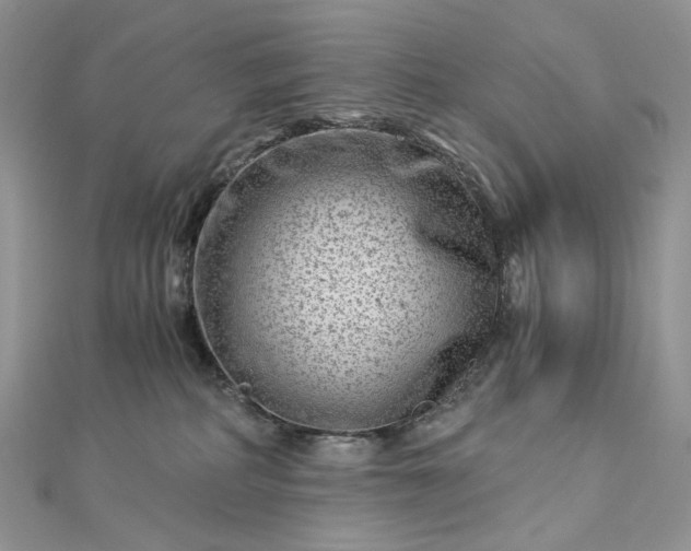 X0000112900234200909041729