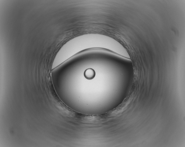 X0000112900237200909041729