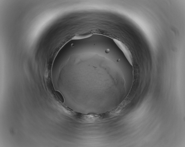 X0000112900239200909041729