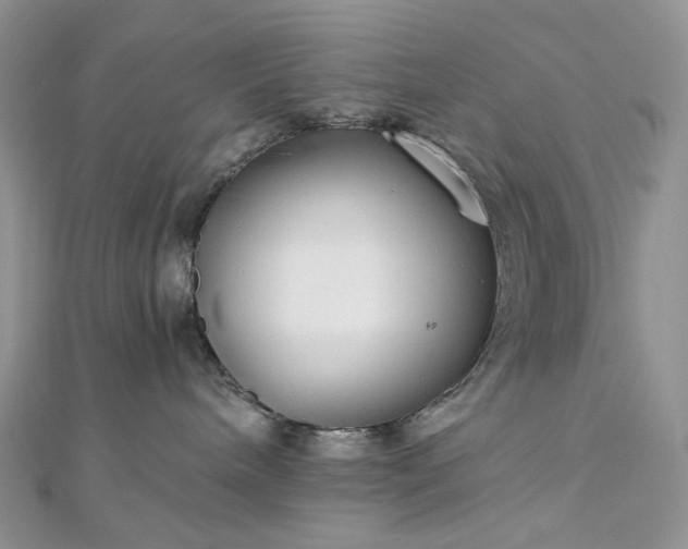 X0000112900240200909041729