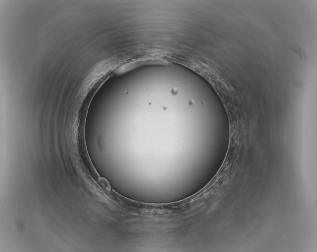 X0000112900242200909041728