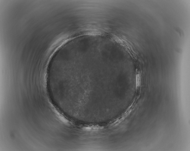 X0000112900243200909041728