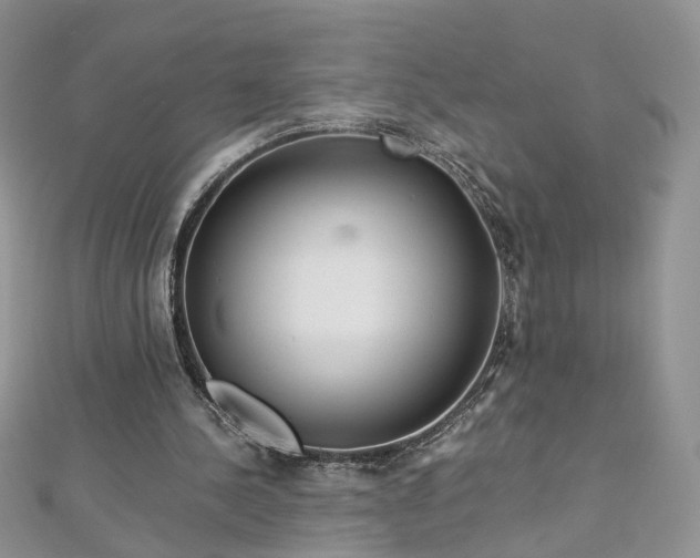 X0000112900244200909041728