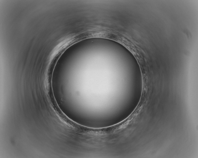 X0000112900245200909041728