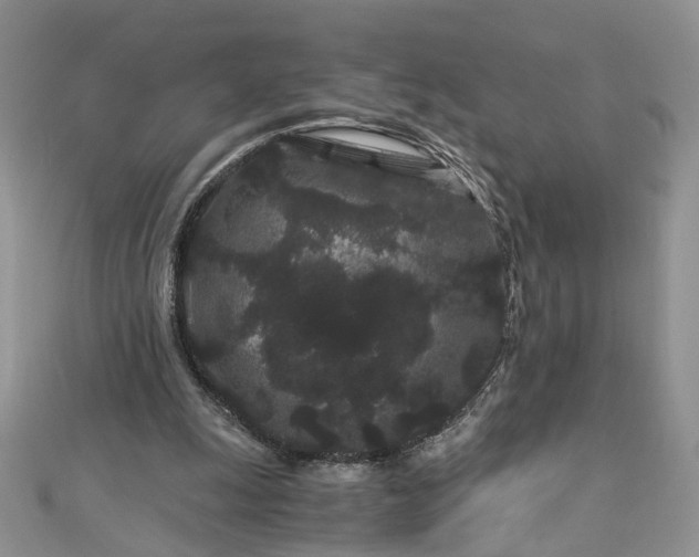 X0000112900247200909041728