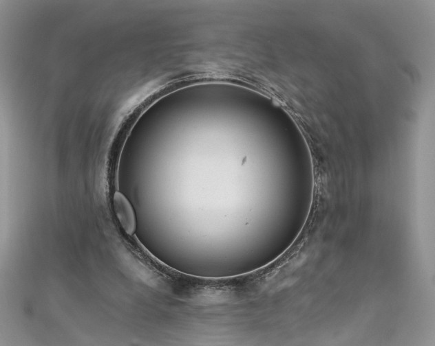 X0000112900248200909041728