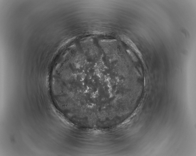 X0000112900249200909041728