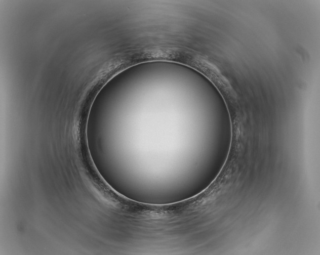 X0000112900250200909041728