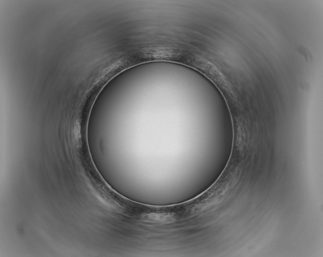 X0000112900251200909041728