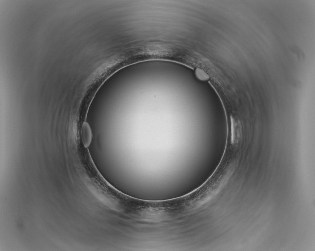 X0000112900252200909041728