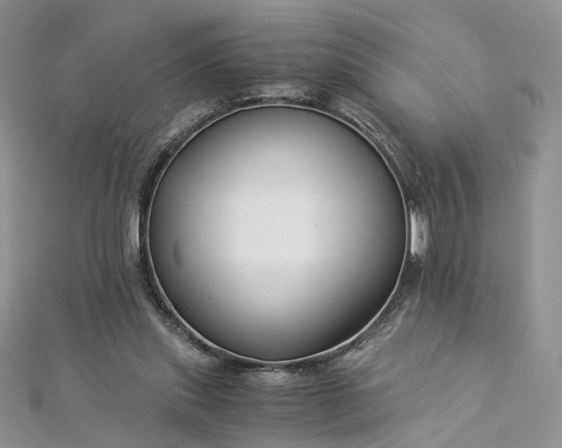 X0000112900253200909041728