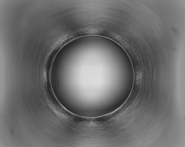 X0000112900254200909041728