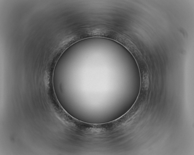 X0000112900255200909041728