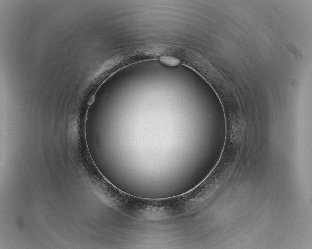 X0000112900256200909041728