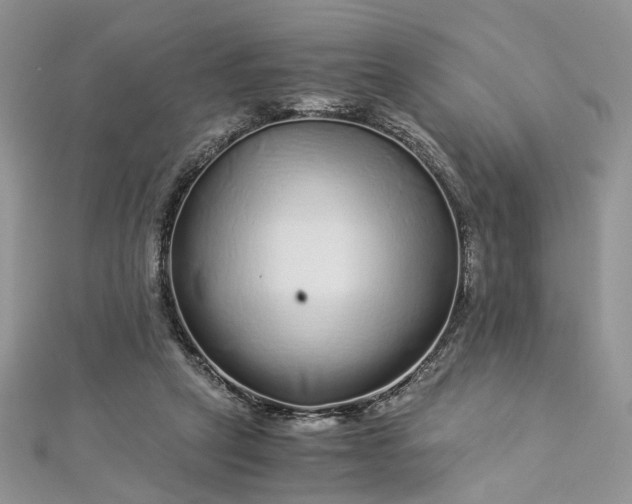 X0000112900257200909041728