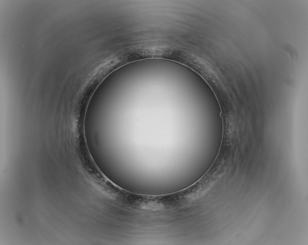 X0000112900258200909041728