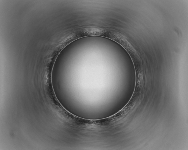 X0000112900259200909041728