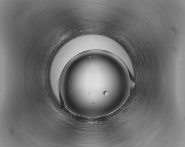 X0000112900260200909041728