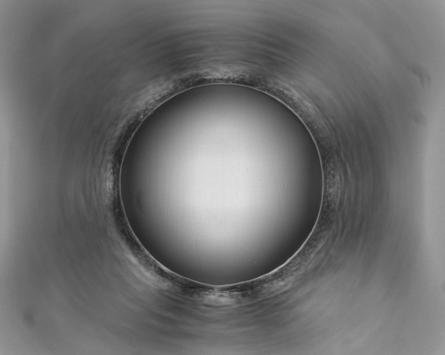 X0000112900261200909041728