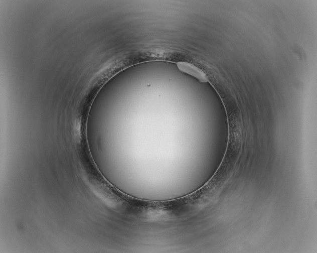 X0000112900262200909041728