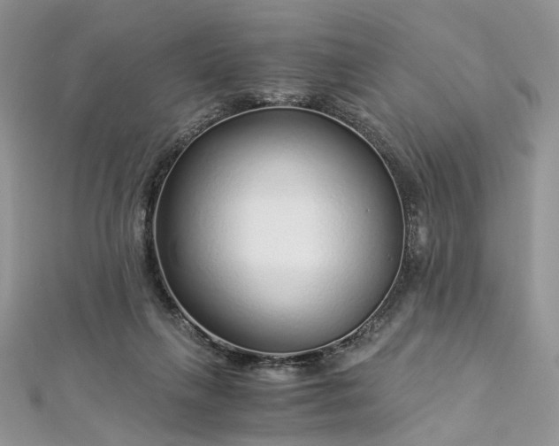 X0000112900263200909041728