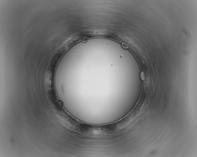 X0000112900264200909041728