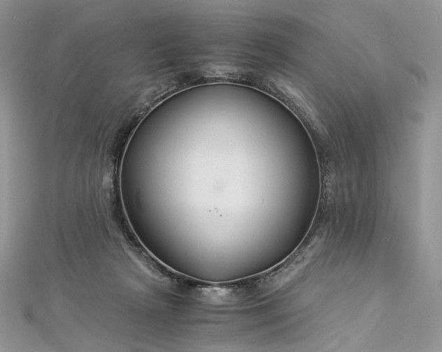 X0000112900265200909041728