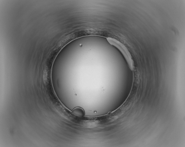 X0000112900266200909041728