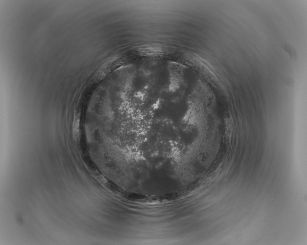 X0000112900267200909041728