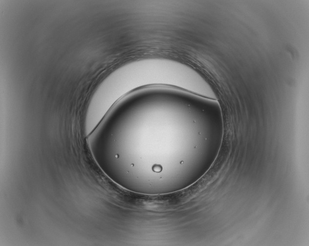 X0000112900268200909041728