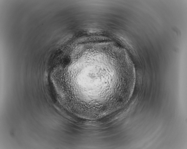 X0000112900269200909041729