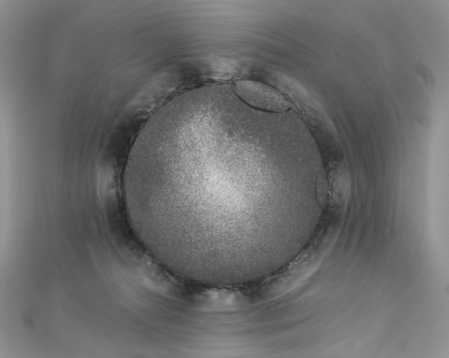 X0000112900272200909041729