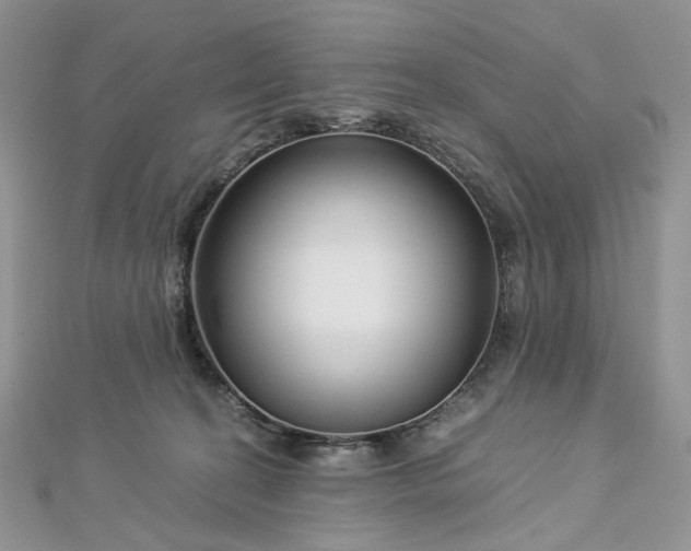 X0000112900274200909041729