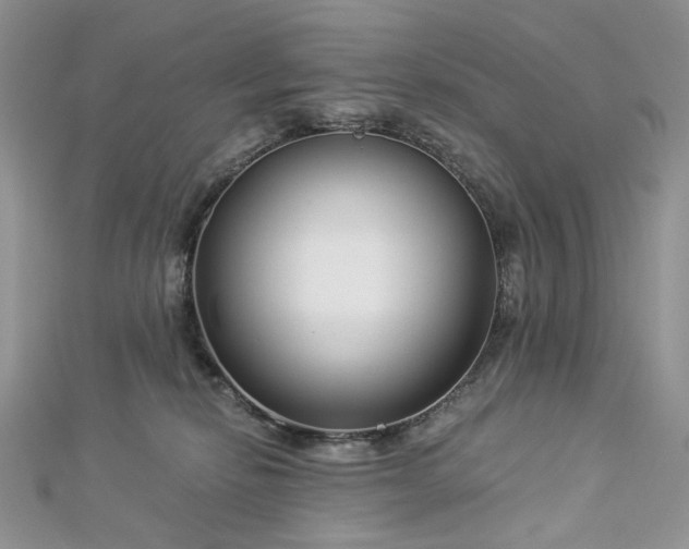 X0000112900278200909041729