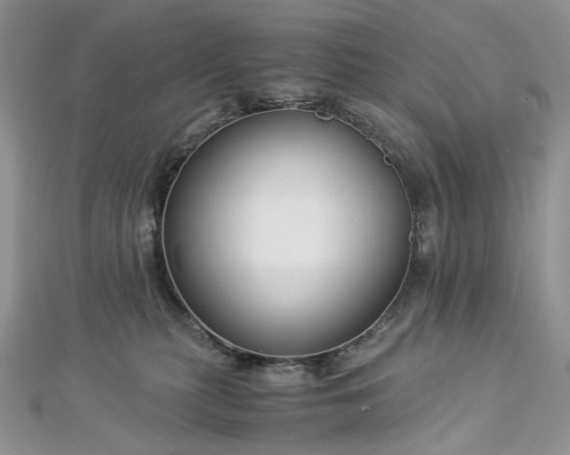 X0000112900279200909041729