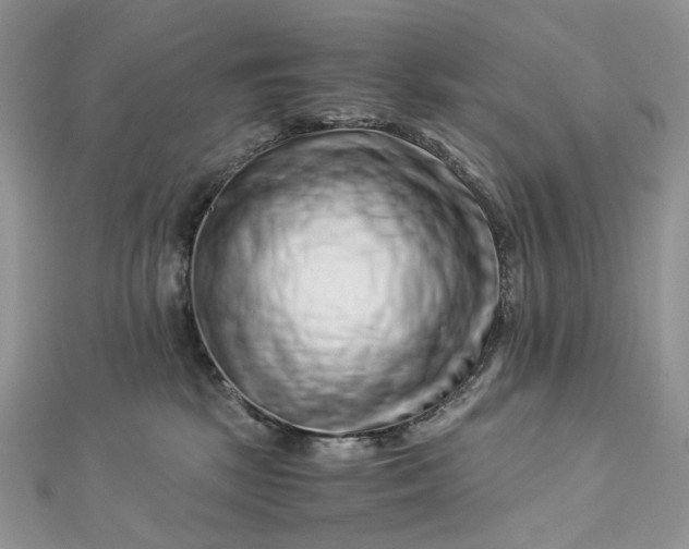 X0000112900281200909041729