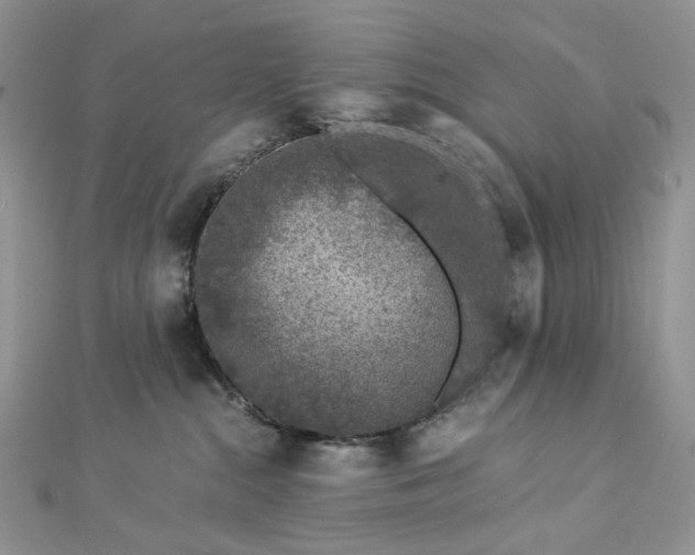 X0000112900284200909041729