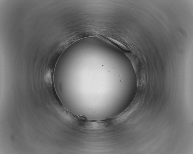 X0000112900286200909041729