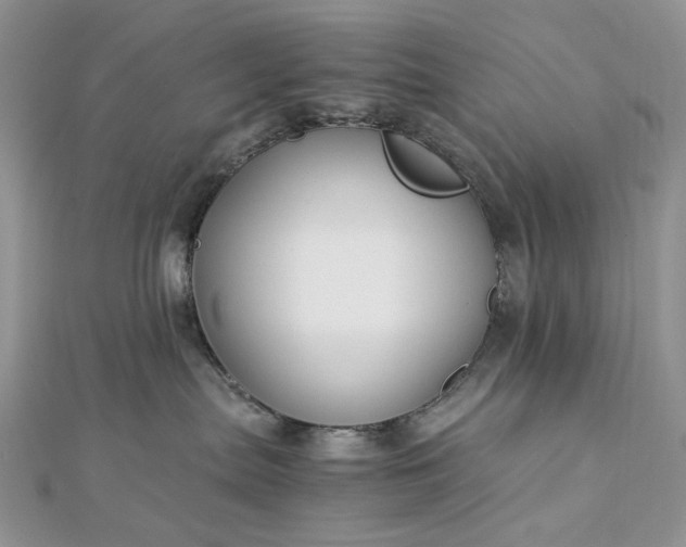 X0000112900287200909041729