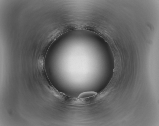 X0000112900288200909041729