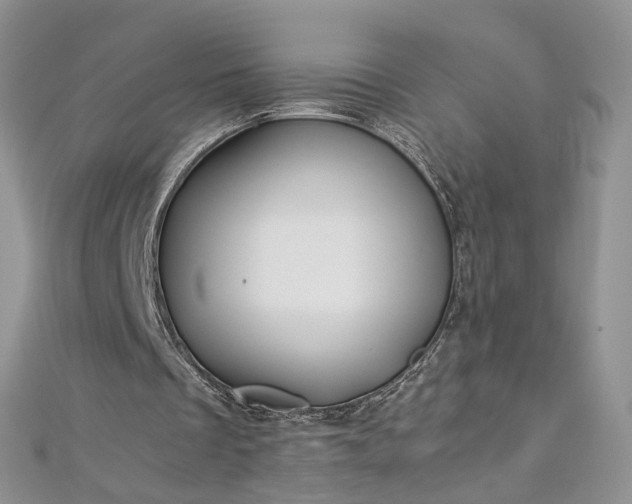 X0000112900289200909041728