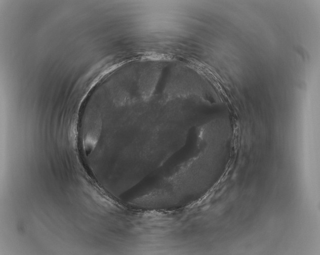 X0000112900290200909041728