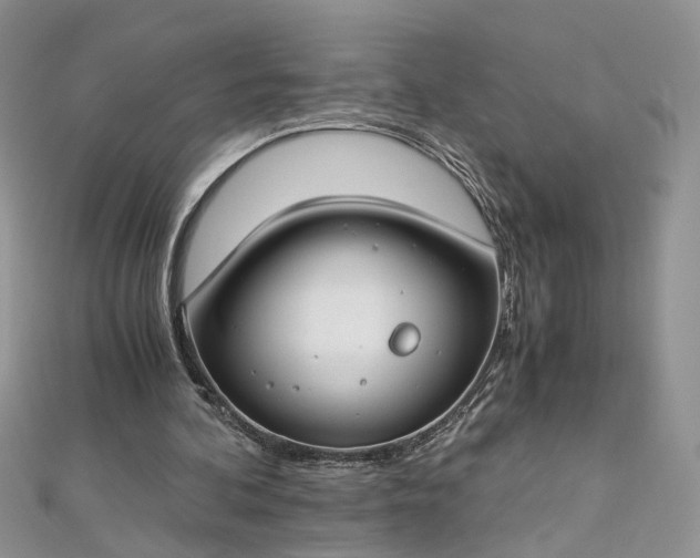 X0000112900292200909041728