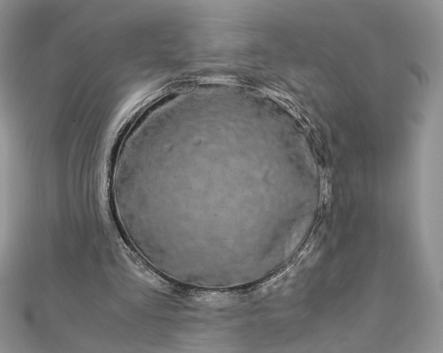 X0000112900293200909041728