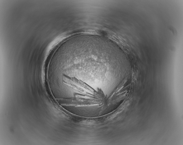 X0000112900294200909041728